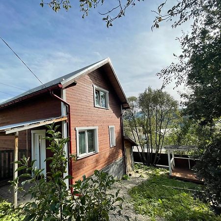Карпатський Котедж Karpatian Cottage Vorokhta Ngoại thất bức ảnh