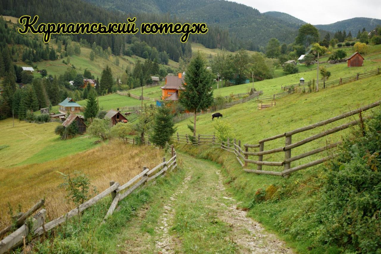 Карпатський Котедж Karpatian Cottage Vorokhta Ngoại thất bức ảnh