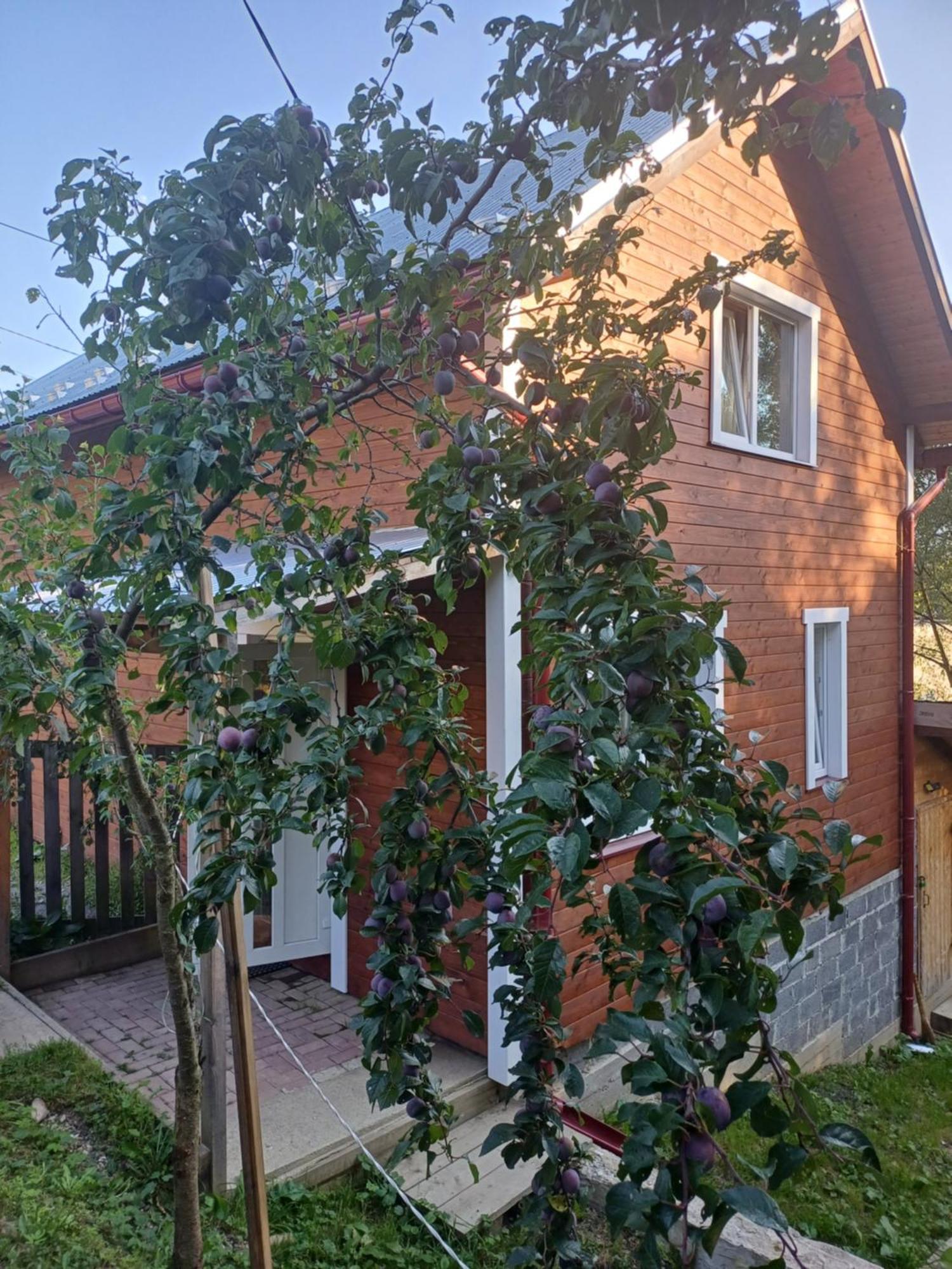 Карпатський Котедж Karpatian Cottage Vorokhta Ngoại thất bức ảnh